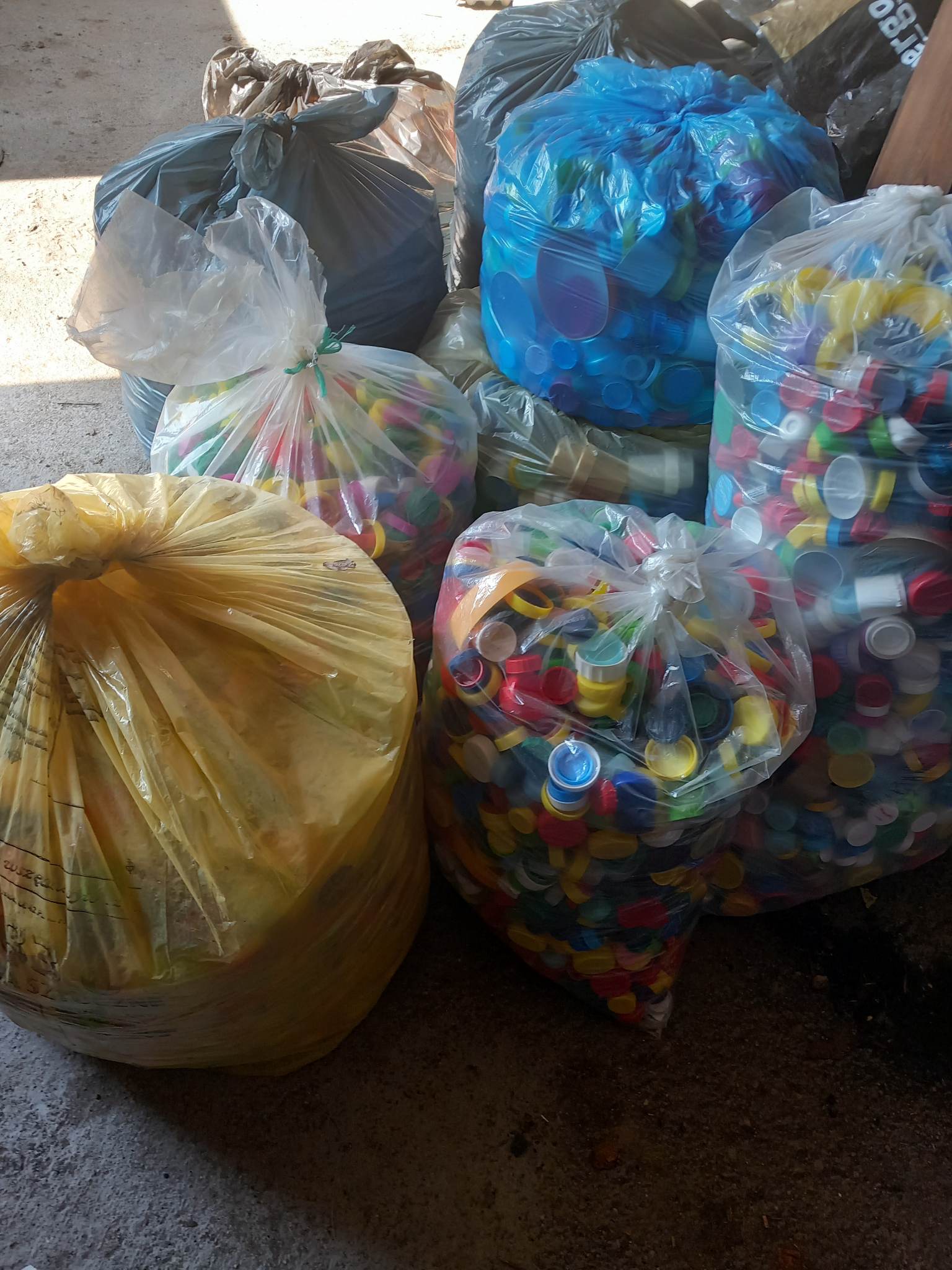 Zdjęcie worków foliowych wypełnionych nakrętkami plastikowymi, zbieranych w ramach zbiórki.