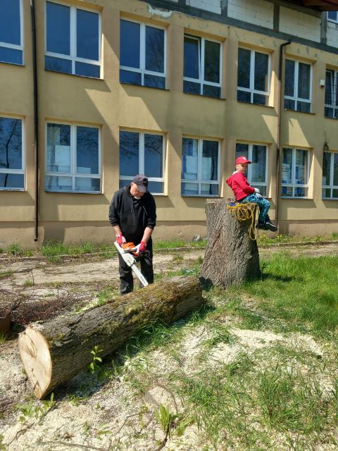 Mężczyzna z siekierą wycina drzewo, a obok niego siedzi osoba w czerwonej czapce. W tle znajduje się budynek szkolny.
